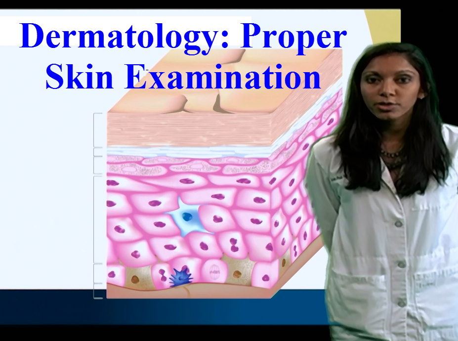 Dermatology Proper Skin Examination Anatomy Guy