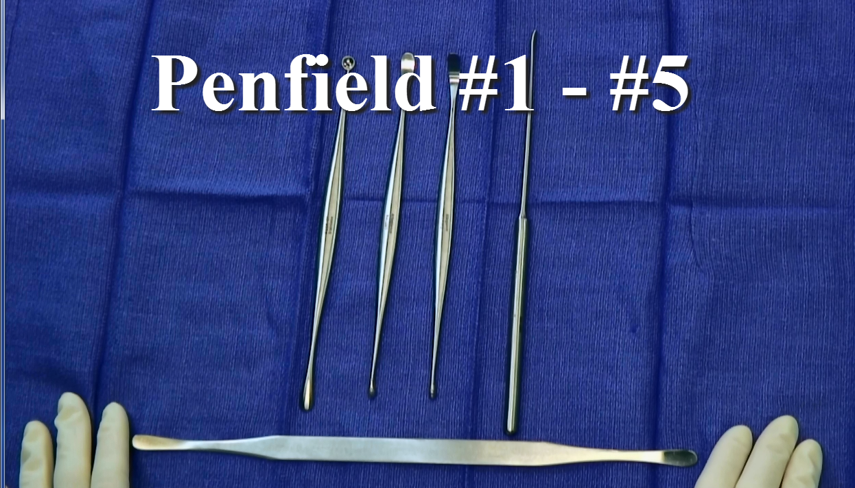 Surgical Instruments: Penfield #1 - #5 - Anatomy Guy